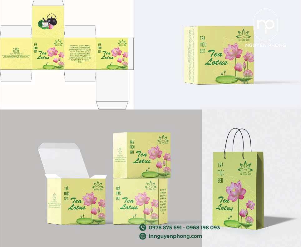 Nhân viên tư vấn chọn mẫu hộp phù hợp